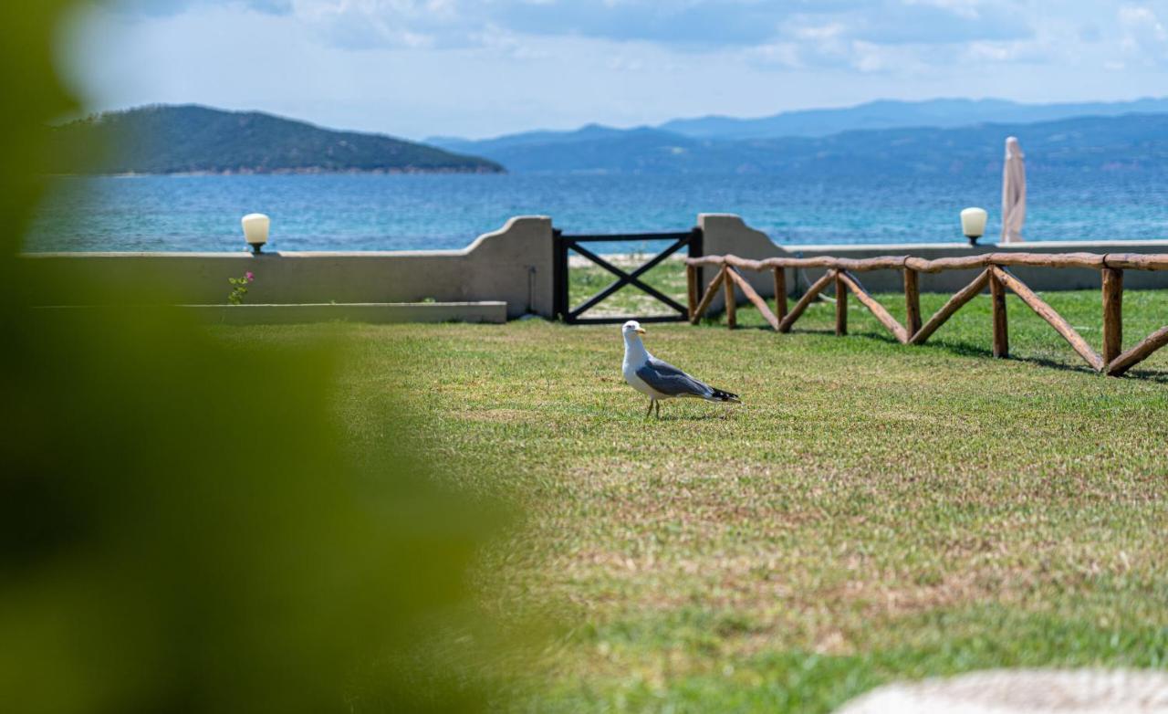 Vila Alemar Estates Ouranoupolis Exteriér fotografie